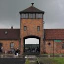 Auschwitz 23
