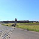 Birkenau4