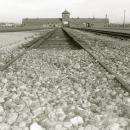 Extermination Camp of Auschwitz-Birkenau, Poland (74212092)