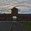 Auschwitz II (Birkenau), april 2014, photo 1