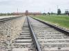 Auschwitz last stop