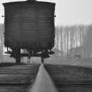 Auschwitz Train