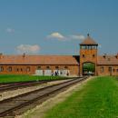Birkenau 3