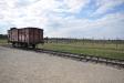 Wagon to carry prisoners to the gassing chambers - Auschwitz II-Birkenau (9304647361)