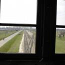 Auschwitz Birkenau Rampe